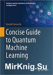 Concise Guide to Quantum Machine Learning