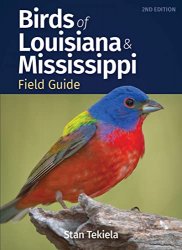 Birds of Louisiana & Mississippi Field Guide (Bird Identification Guides) 2nd Edition