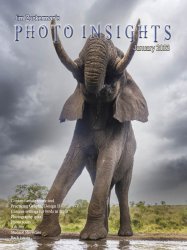 Photo Insights Issue 1 2023
