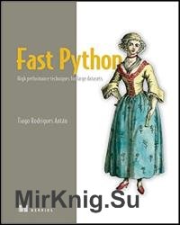 Fast Python: High performance techniques for large datasets (Final Release)