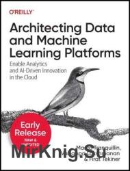 Architecting Data and Machine Learning Platforms (Second Early Release)