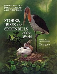 Storks, Ibises and Spoonbills of the World (Helm Identification Guides)