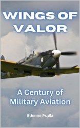 Wings of Valor: A Century of Military Aviation